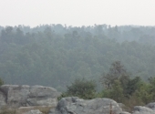 dsc03023